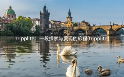Tripplite：一段探索与发现的旅程(tripplite)